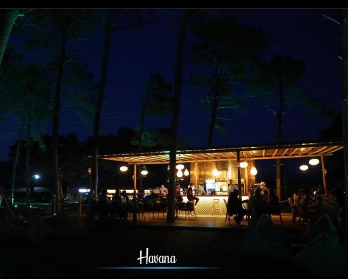 Havana House Sakes Екстериор снимка